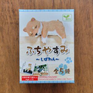 Shiba Inu Blind Box White